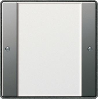 Картинка gira 213120 комплект клавиш, 1 шт., цвет: нержавеющая сталь