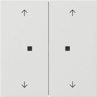 Картинка gira 5174112 кнопочный выключатель knx, клавиша, 2-местн. со стрелками, цвет: белый, оттенок: глянцевый