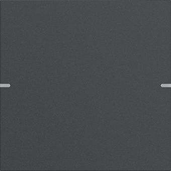 Картинка gira 5021928 клавиша одинарная для сенс. выкл.gira 4 knx, цвет: антрацит, оттенок: матовый, лакированный