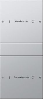 Картинка gira 2132213 комплект клавиш, 2 шт. гравировка, цвет: серый, оттенок: алюминиевый